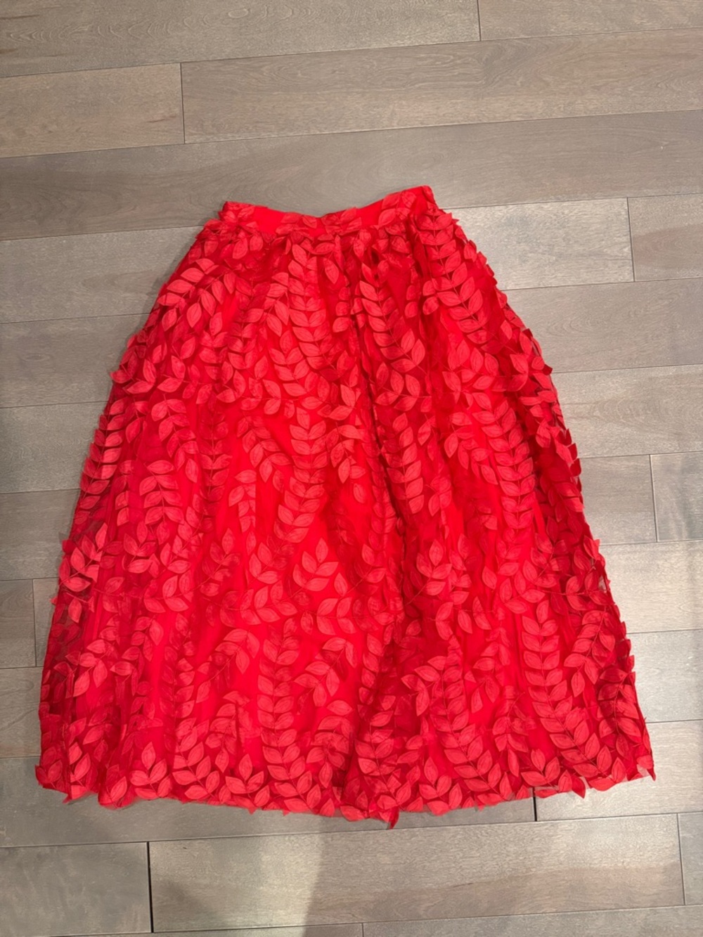 Anthropologie Sunday in Brooklyn red floral skirt